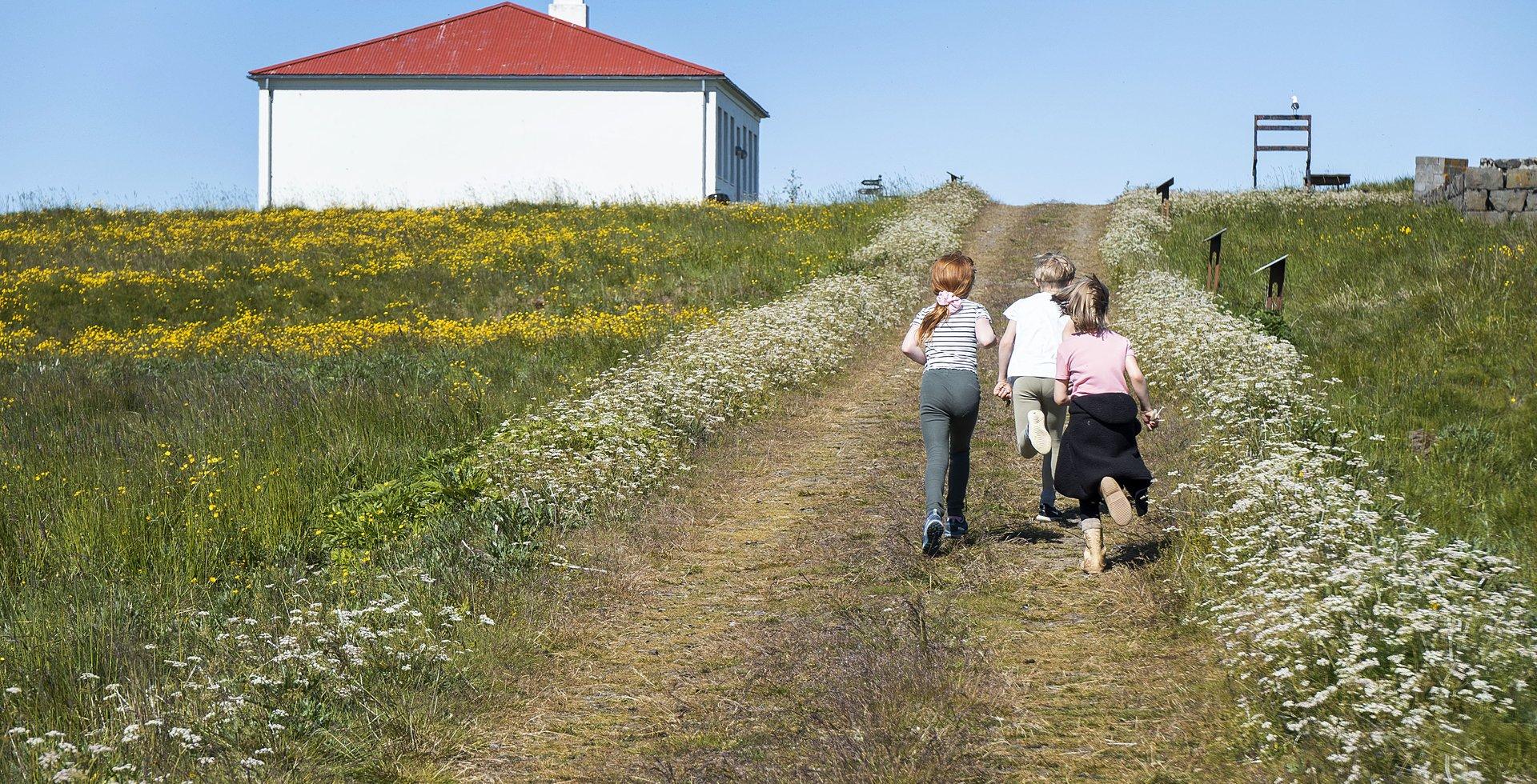 Summer Course in Viðey – VIÐEY FRIÐEY